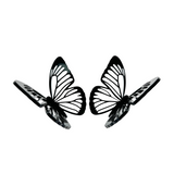 REBIRTH in BLK.